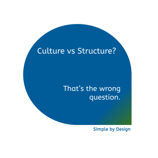 Focus on Culture or Structure?